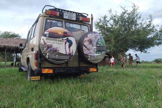 2 Day Wildlife Experience and Masai Culture Mikumi Park - Pricing and Value  