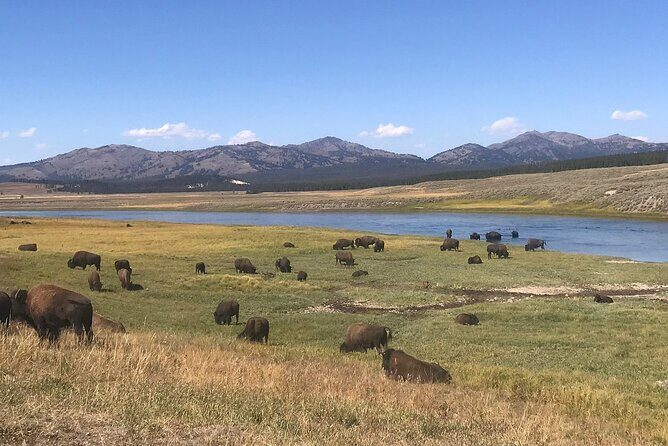2-Day Yellowstone National Park Upper and Lower Loop Exploration - Frequently Asked Questions