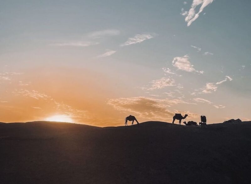 2 Day Zagora Desert & Draa valley Tour with camel - An In-Depth Look at the Zagora Desert & Draa Valley Tour