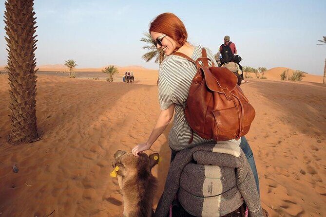 2-Day Zagora Desert Tour from Marrakech - Starting Point: Marrakech Pickup and Transport