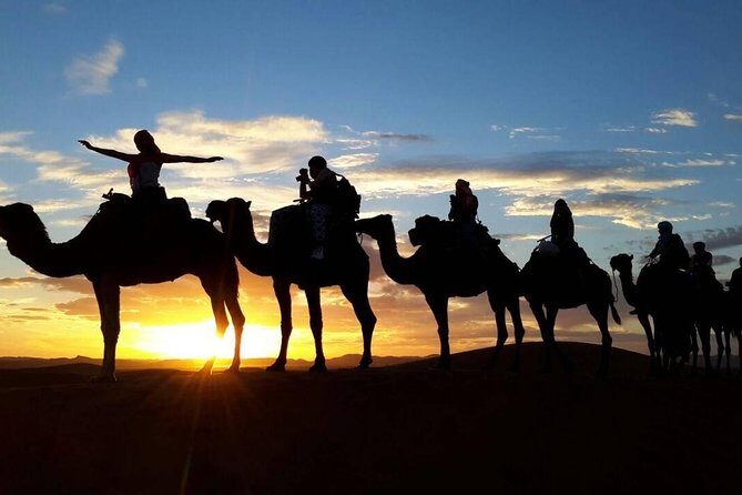2-Day Zagora Desert Tour from Marrakech - Key Points