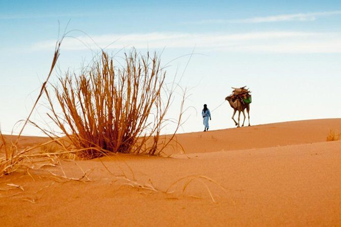 2 Day Zagora Tour from Marrakech Including the Atlas Mountains, Camel Trek and Desert Camp - Key Points