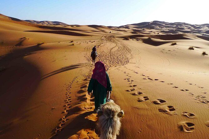 2 Day Zagora Tour from Marrakech Including the Atlas Mountains, Camel Trek and Desert Camp - Final Thoughts
