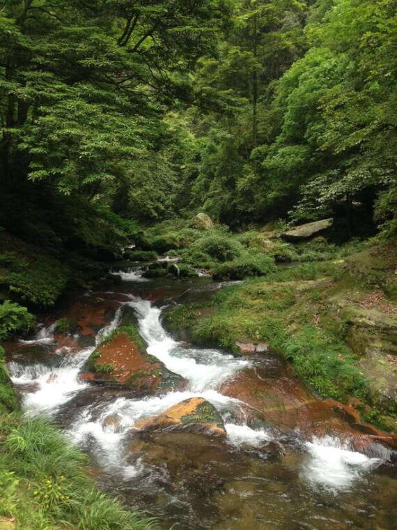 2-day-zhangjiajie-tour-including-yuanjiajie-mountains
