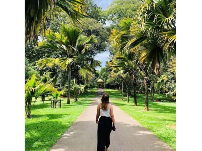 2 Day:Kandy, Ambuluwawa & Sigiriya Dambulla Guided Day Tours - The Value of the Experience