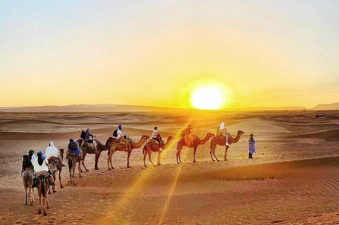 2 Days 1 Night Amazing Zagora Desert Tour From Marrakech - What You’ll Love About This Tour  