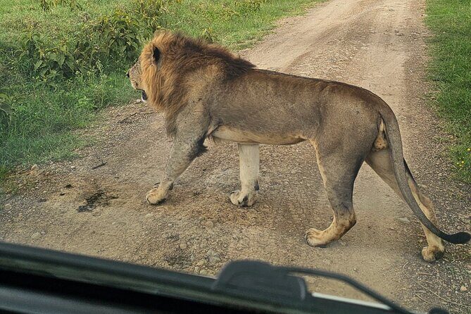 2 Days 1 Night Amboseli National Park Private Safari. - Final Thoughts