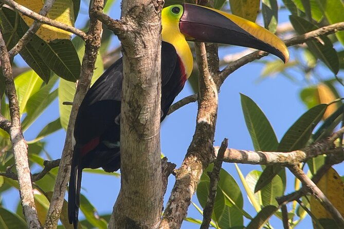 2-days-1-night-corcovado-jungle-adventure-sirena-ranger-station