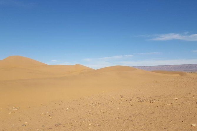 2 Days 1 Night Desert Tour from Marrakech to the desert of Tinfou Zagora - Who Should Consider This Tour?