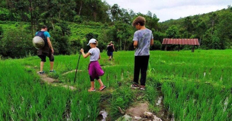 2-days-1-night-eco-trekking-to-the-white-pakayaw-village