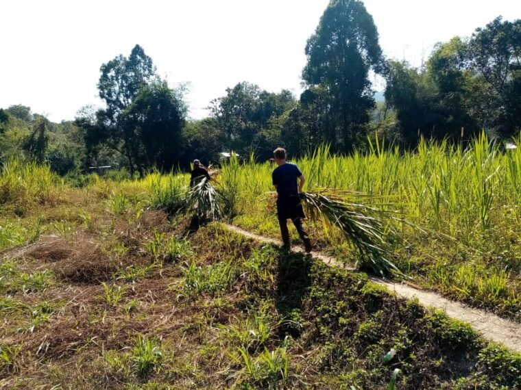 2-days-1-night-eco-trekking-to-the-white-pakayaw-village