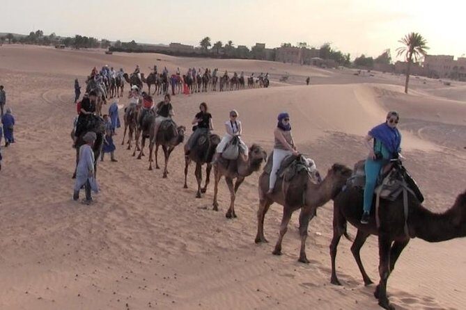 2 Days / 1 Night Excursion to Zagora (Desert) from Marrakech - Experience the Sahara: A 2-Day Marrakech to Zagora Tour Review