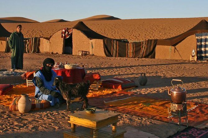 2 Days / 1 Night Excursion to Zagora (Desert) from Marrakech - Who Is This Tour Best For?