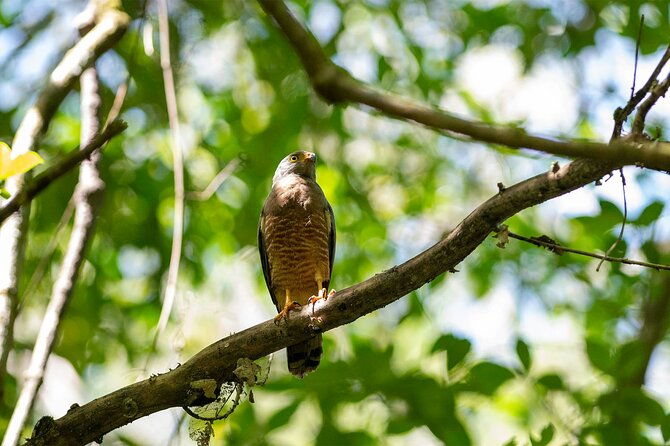 2-days-1-night-in-corcovado-sirena-from-puerto-jimenez