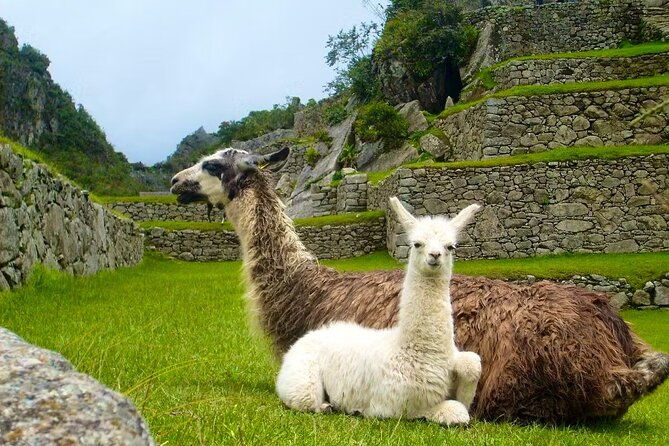 2-days-1-night-in-machu-picchu-with-tourist-train-and-entrance