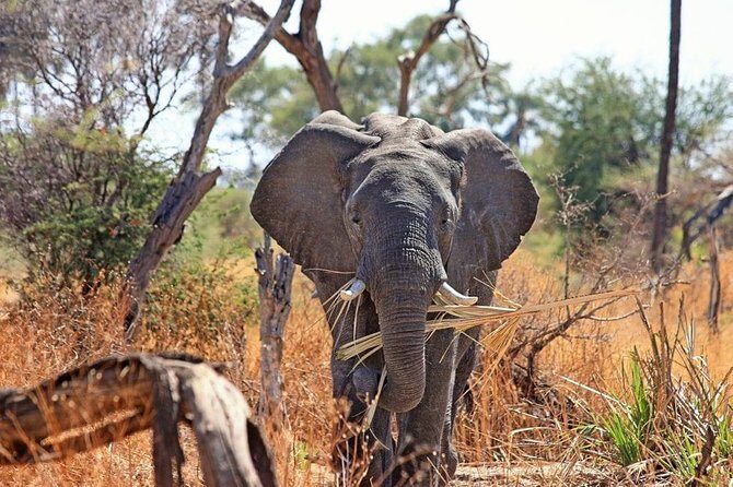 2 Days / 1 Night Join group safari - Key Points  