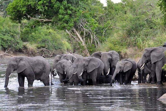 2 Days / 1 Night Join group safari - The Sum Up