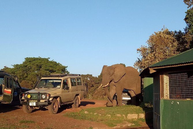 2 Days / 1 Night Join group safari - FAQ
