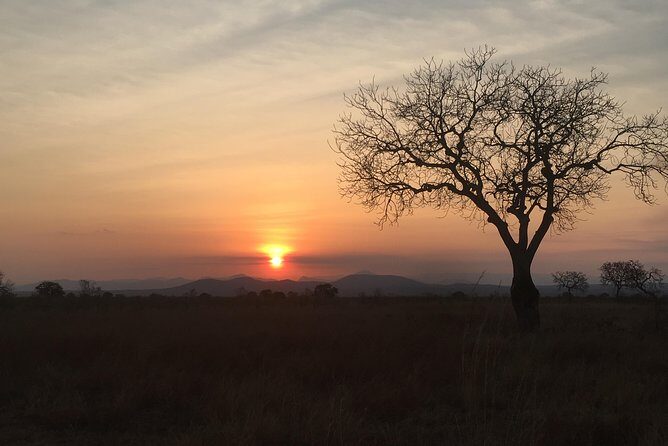 2 Days 1 Night Mikumi National Park - Final Thoughts