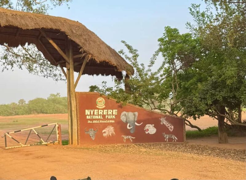 2 Days 1 Night Nyerere National Park from Zanzibar by flight - Key Points