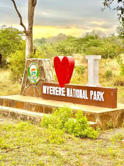 2 Days 1 Night Nyerere National Park from Zanzibar by flight - Analyzing the Experience: What You Get and Why It Matters