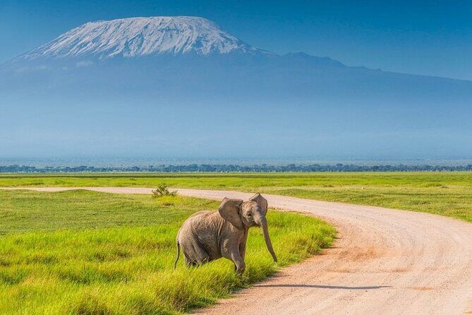 2 Days 1 Night Private Tour to Amboseli National park 4*4 Vehicle - Cancellation and Booking Flexibility