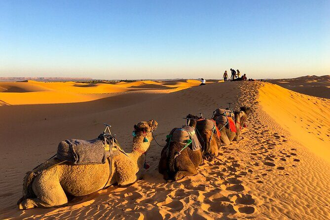 2 Days/1 Night Sahara Desert Trip: Fes - Merzouga - Fes - The Itinerary in Detail
