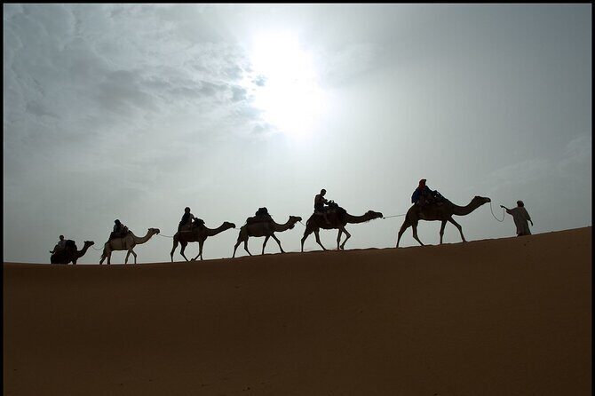 2 Days/1 Night Sahara Desert Trip: Fes - Merzouga - Fes - Practical Tips for Making the Most of the Trip