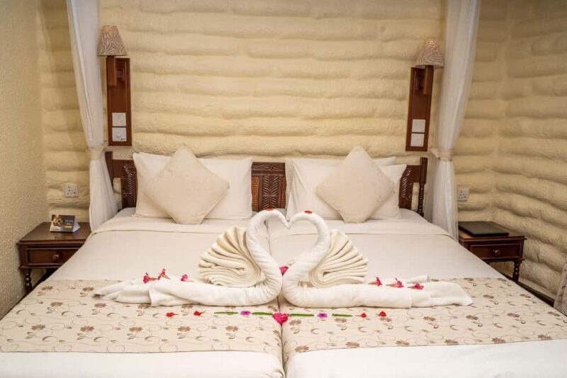 2 days 1 night saltlick safari from Diani/Mombasa - Final Thoughts: Is This Tour Right for You?