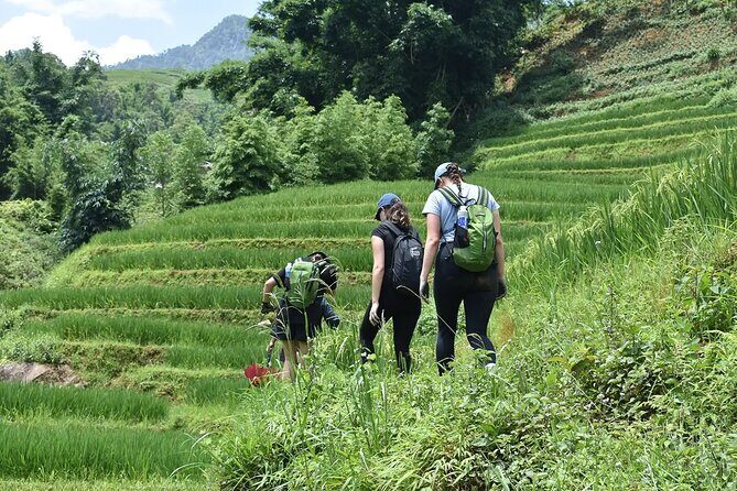 2 days 1 night Sapa Trekking Group Tour at Homestay - Final Verdict