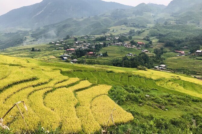 2 Days 1 Night Sapa Trekking Homestay from Sapa - An In-Depth Look at the Sapa Trekking Homestay Tour