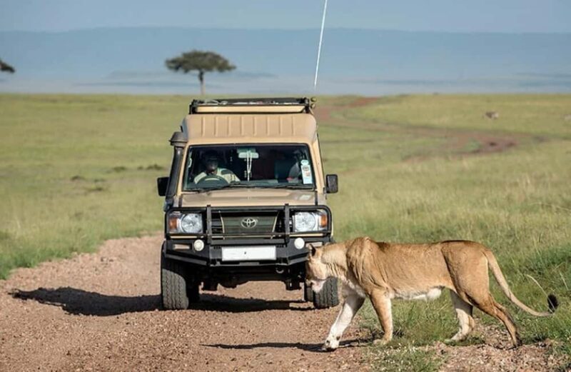 2 Days 1 Night Selous Fly-in Safari from Zanzibar - Introduction: A Quick Look at the Selous Safari Experience