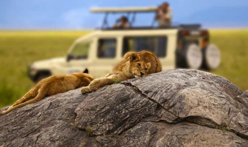 2 Days 1 Night Selous Fly-in Safari from Zanzibar - Who Is This Tour Best For?