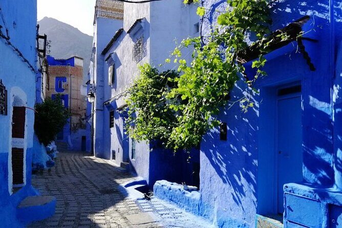 2 Days, 1 night to Blue city Chefchaouen from Casablanca or Rabat - Introduction