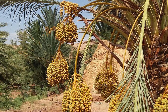 2 Days 1 Night To Zagora Desert From Marrakech - Sleeping Under the Stars