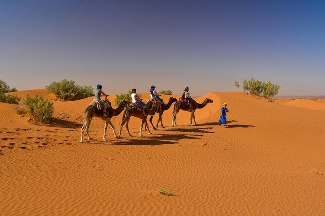 2 Days 1 Night To Zagora Desert From Marrakech: Private Trip - Authentic Experiences and Insights from Reviewers