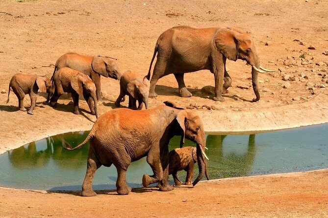 2 Days (1 night); Tsavo East & Saltlick Safari: - Introduction