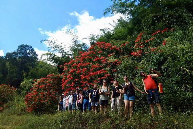 2 DAYS 1NIGHT Join Jungle Trek in Huay Nam Dung National Park - An In-Depth Look at the Huay Nam Dung Jungle Trek