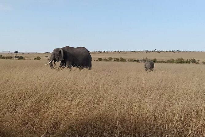 2 Days Adventurous Safari in Amboseli (Mid Range Tour) - The Cultural Touch: Maasai Village Visit