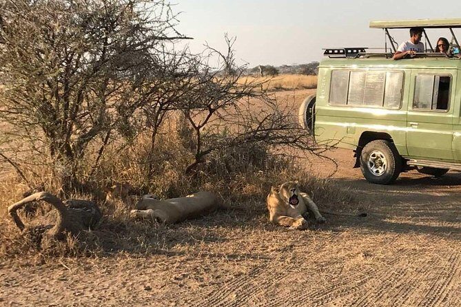 2 Days Africa Safari - Price and Value