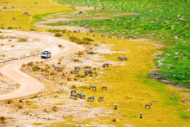 2 Days Amboseli Getaway Trip - Practical Tips for Future Travelers