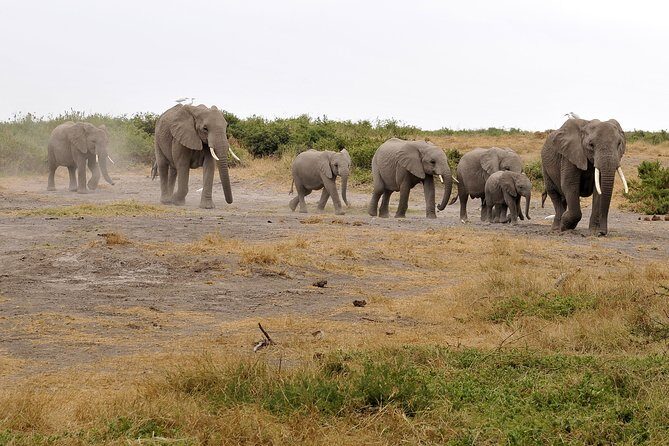 2 Days Amboseli Getaway Trip - Who Should Consider This Tour?