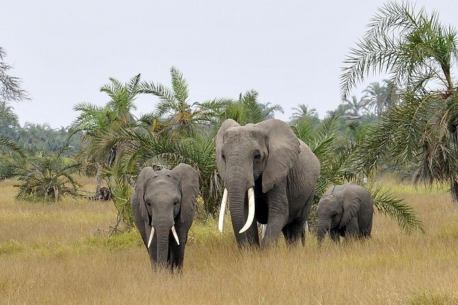 2 Days Amboseli Getaway Trip - The Sum Up