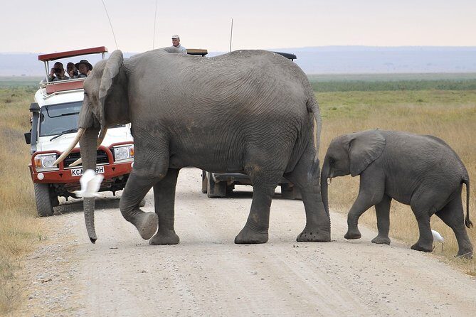 2 Days Amboseli Getaway Trip - FAQs