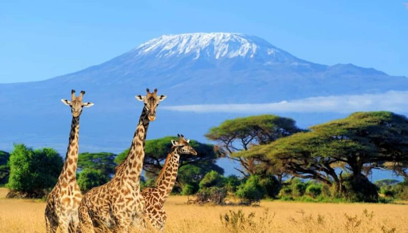 2 Days Amboseli National Park Safari - Key Points