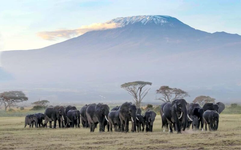 2 Days Amboseli National Park Safari Tour - Exploring the Itinerary in Detail