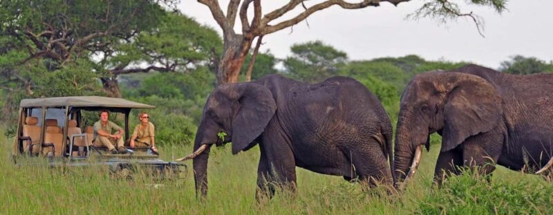 2 Days Amboseli National Park Safari Tour - Final Thoughts