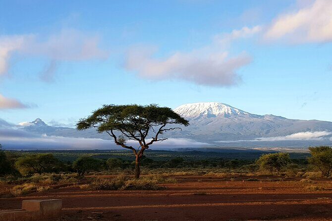 2 Days Amboseli Park Overnight Private Safari - Practical Details and Considerations