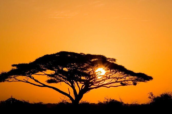 2 Days Amboseli Private Safari - Authenticity and Guide Expertise: What Reviewers Say