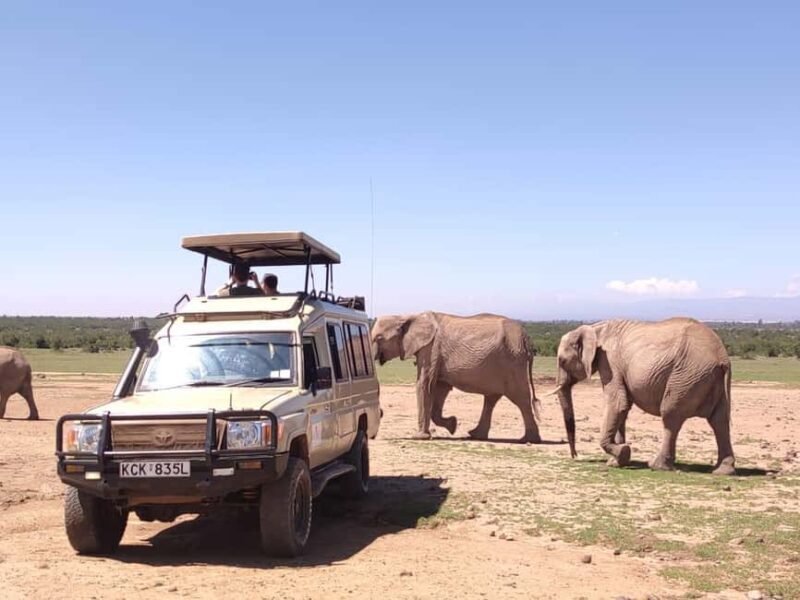 2 Days Amboseli Safari - An In-Depth Look at the Amboseli Safari Experience